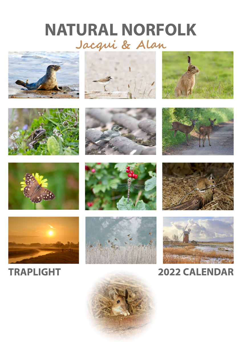 2022 calendar pictures